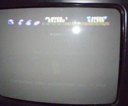 2. Platz von Camailleon