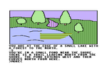S, S, swim W, swim W, W, S, pour potion over the boat (40 points), get boat [Total Score: 40 points]
