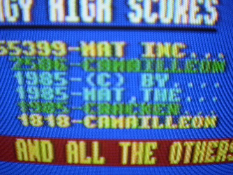 Datei:Cami High Thingonaspring.JPG