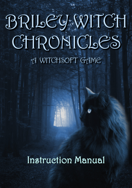 Datei:Screen Manual.png